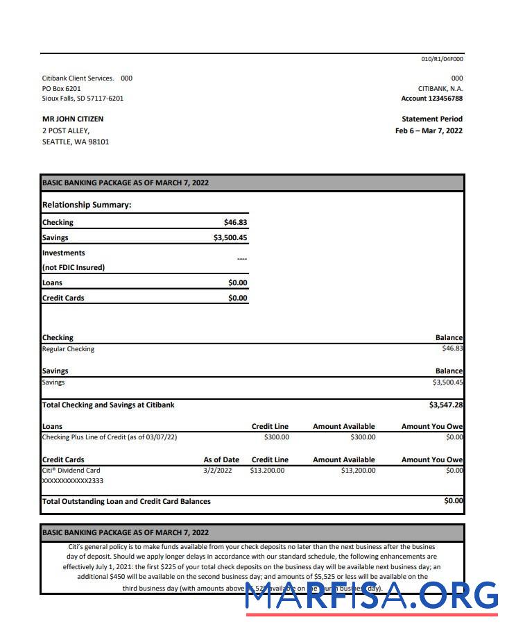 Downloadable Australia Citibank bank statement excel real example